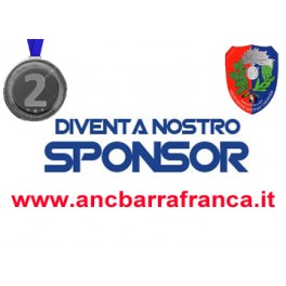 Diventa uno Sponsor Argento per 9 mesi a soli 0,74 centesimi di Euro/giorno (Donazione con ringraziamento)