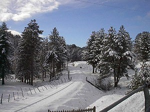 Gita socio-culturale nel Parco Nazionale del “Pollino” e della ”Sila”